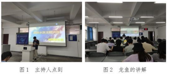 龍魚的喂養方法：龍魚的飼養方法