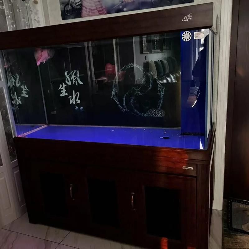 龍魚混養魚推薦圖片欣賞大全