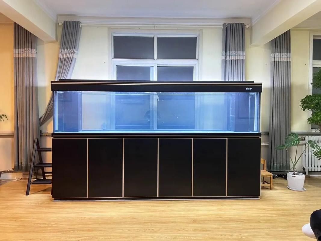 龍魚混養魚推薦圖片欣賞大全