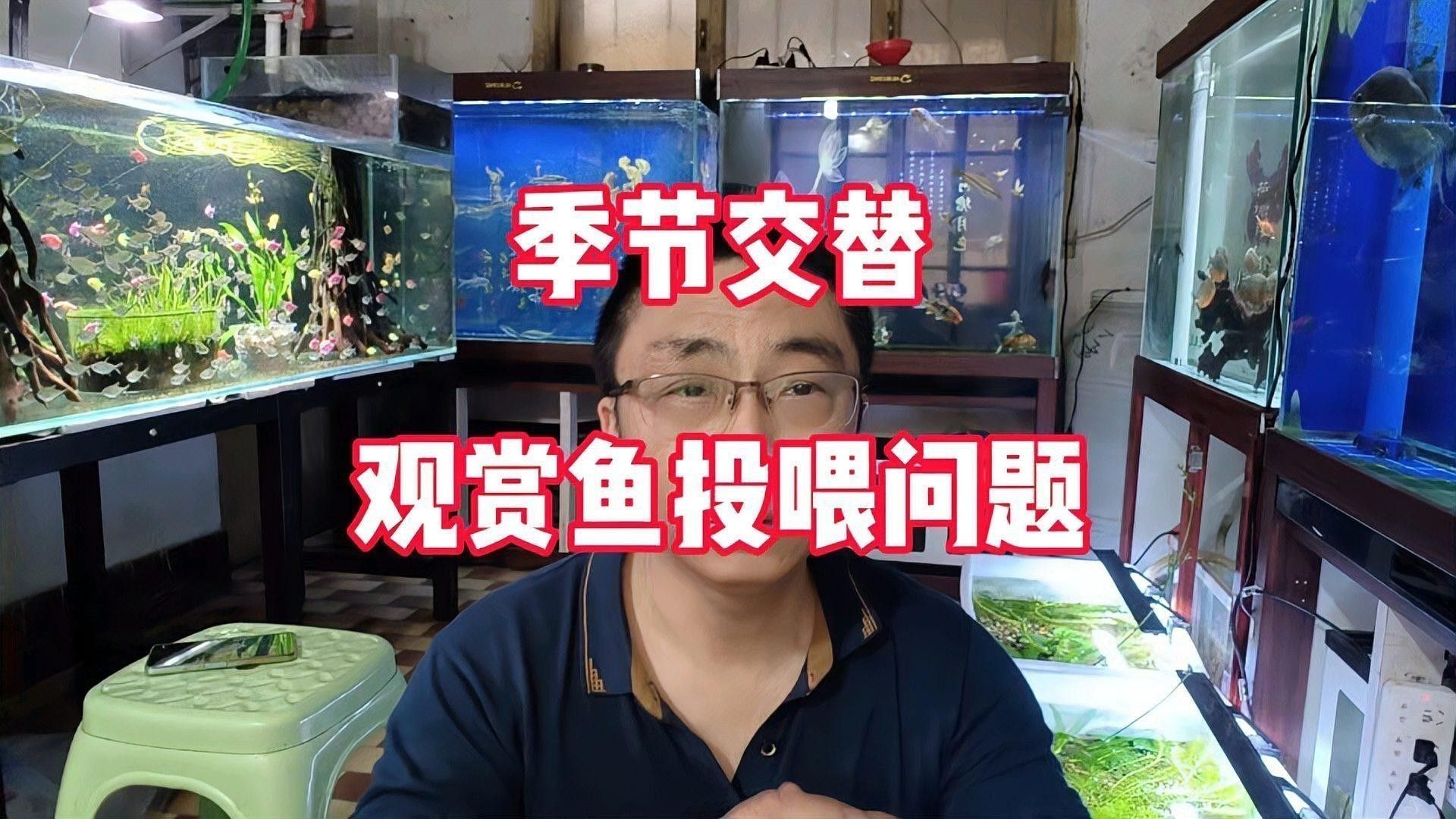哪些水果不適合過背金龍食用？