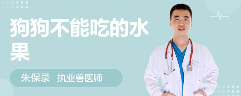 哪些水果不適合過背金龍食用？