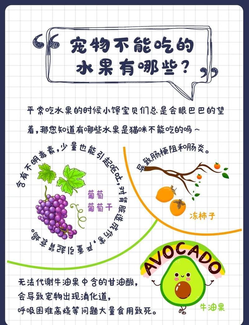 哪些水果不適合過背金龍食用？