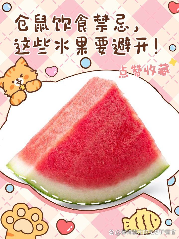哪些水果不適合過背金龍食用？