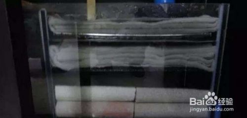 魚(yú)缸的過(guò)濾器怎么安裝（如何選擇適合的魚(yú)缸過(guò)濾器） 魚(yú)缸的過(guò)濾器怎么安裝（如何選擇適合的魚(yú)缸過(guò)濾器） 龍魚(yú)百科 第4張