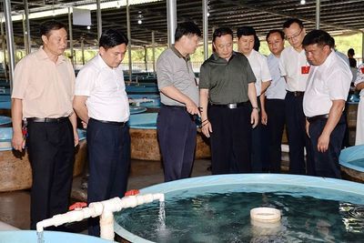 大龍魚如何撈出來養(yǎng)：如何撈取和轉(zhuǎn)移大龍魚