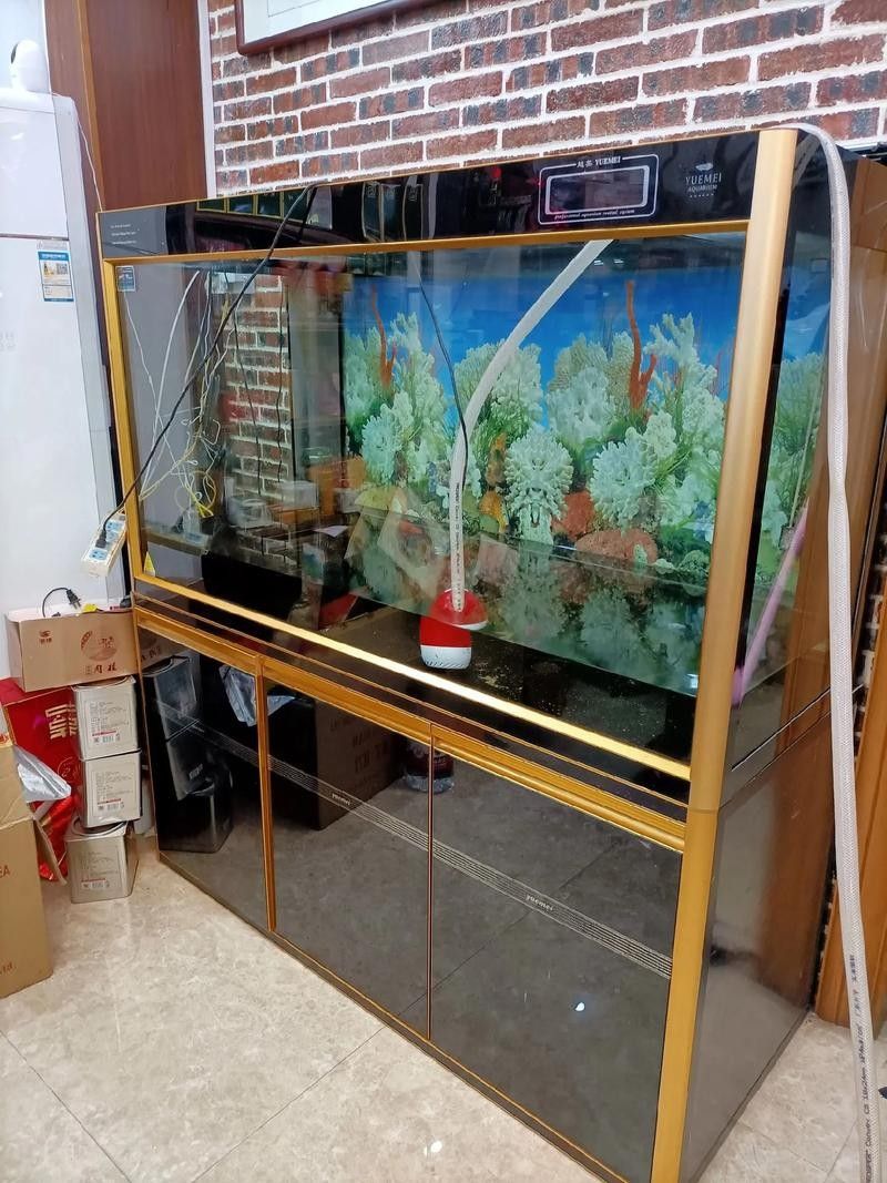 龍魚適合多大的缸