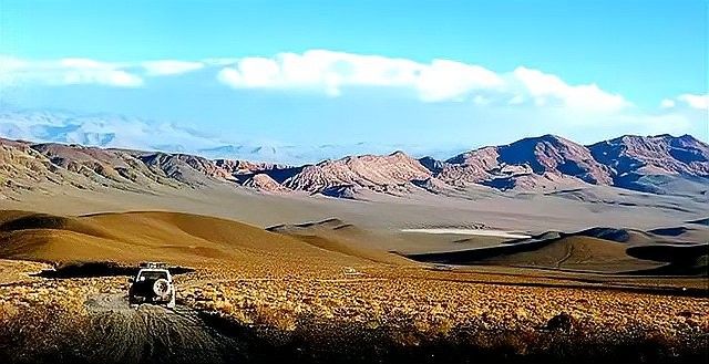 龍貓和貓?jiān)谝黄饡?huì)有什么反應(yīng)？