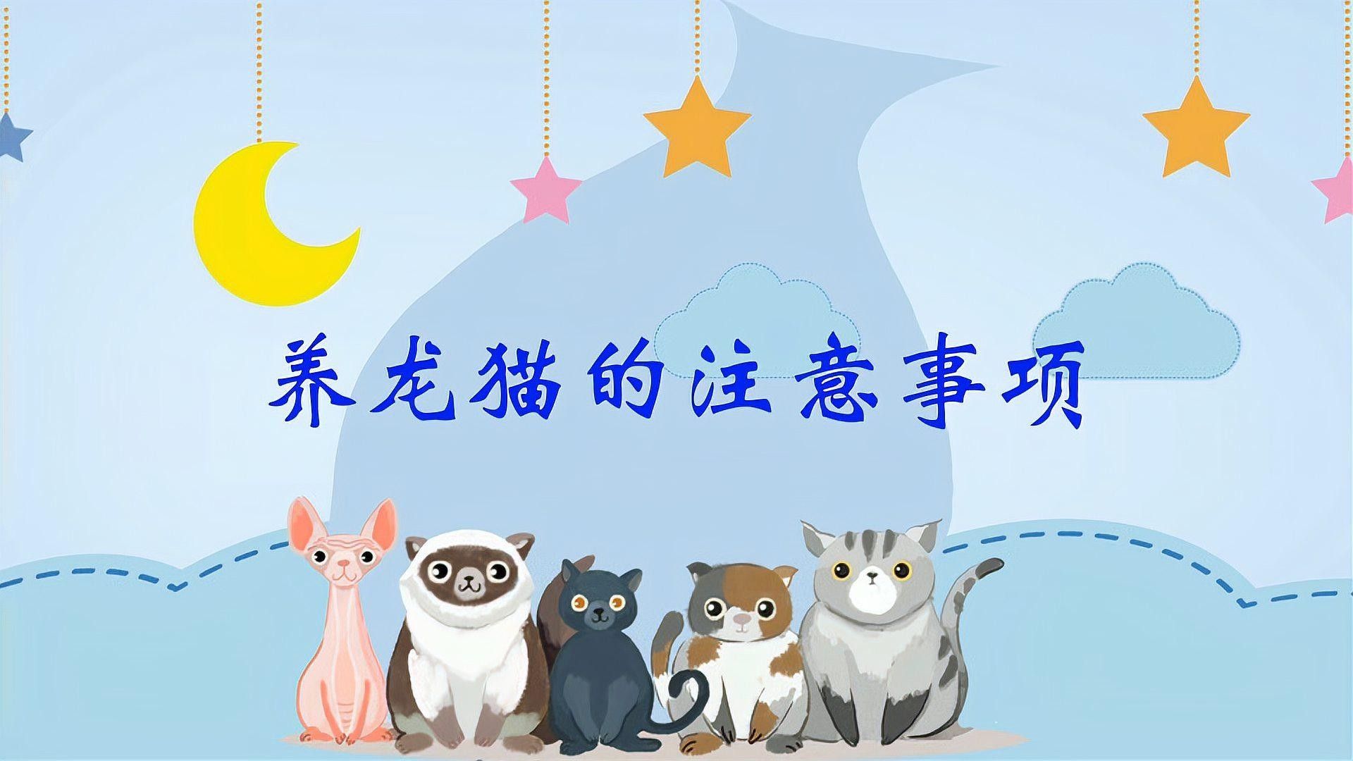 龍貓和貓?jiān)谝黄饡?huì)有什么反應(yīng)？