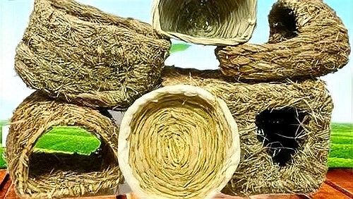 龍貓和貓?jiān)谝黄饡?huì)有什么反應(yīng)？