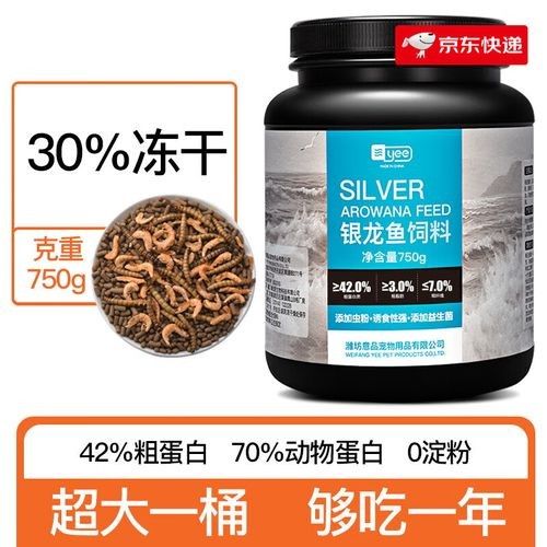 銀龍魚魚糧什么牌子好 銀龍魚魚糧什么牌子好 龍魚百科 第6張