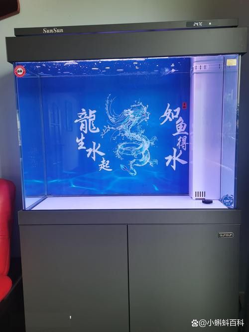 淡水鯊魚可以和龍魚混養(yǎng)嗎圖片大全