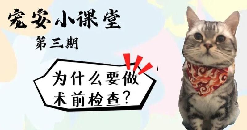 銀龍魚翻鰓癥手術治療風險大嗎？