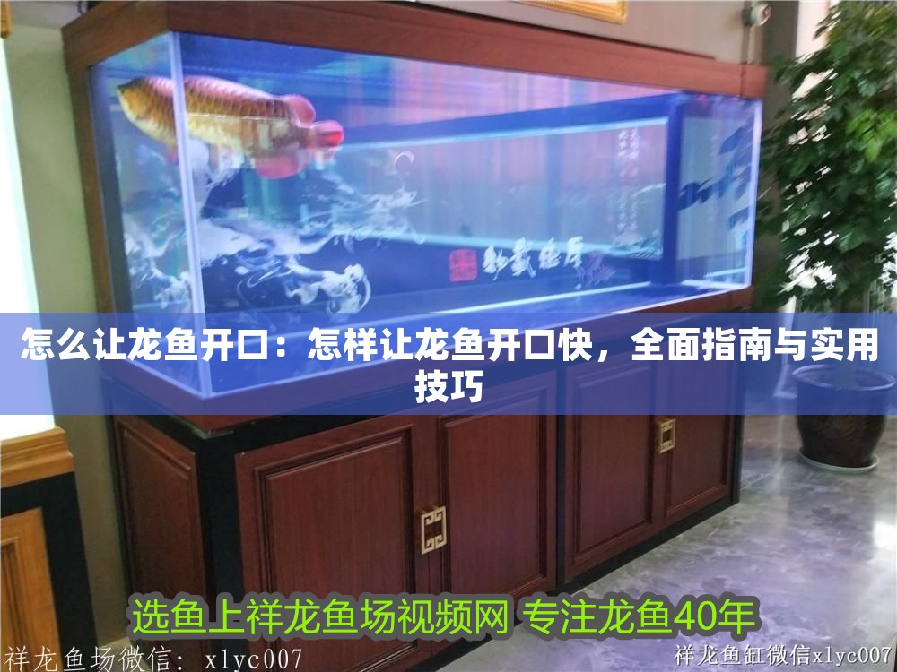 怎么讓龍魚開口：怎樣讓龍魚開口快，全面指南與實用技巧