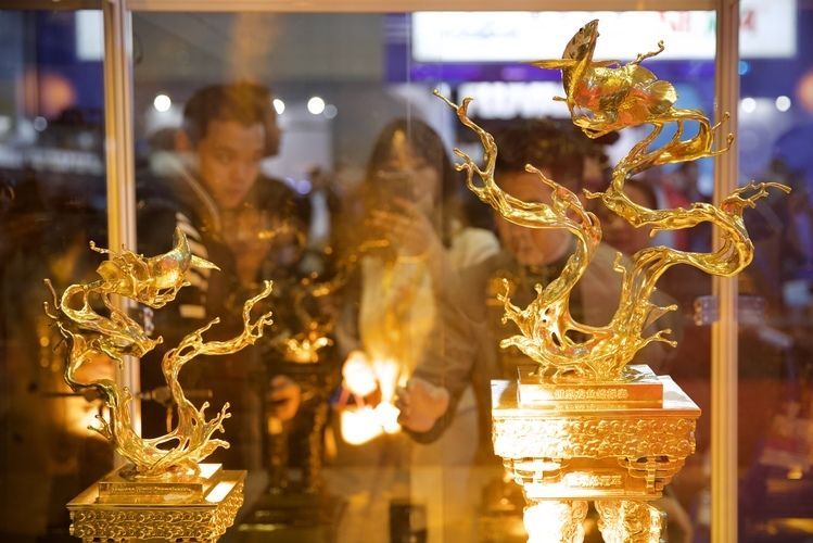 龍魚神獸：龍魚神獸與龍魚混養的四種觀賞魚類，泰國虎飼養技巧