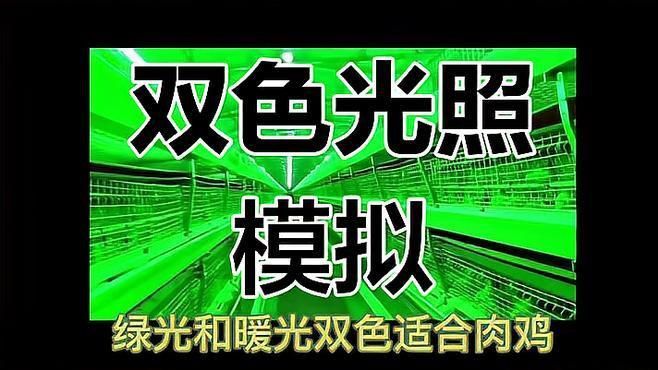 如何模擬自然光周期？