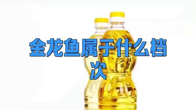 金龍魚中國品牌怎么樣 金龍魚中國品牌怎么樣 龍魚百科 第1張