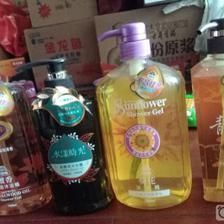 金龍魚洗澡（關(guān)于金龍魚“洗澡”的具體步驟和注意事項(xiàng)）