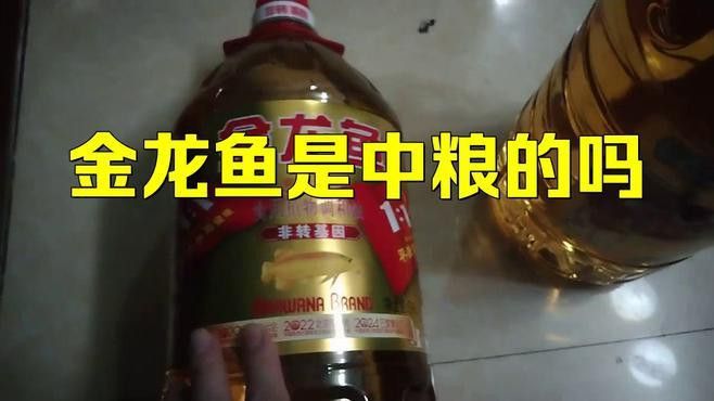 金龍魚品牌的內涵