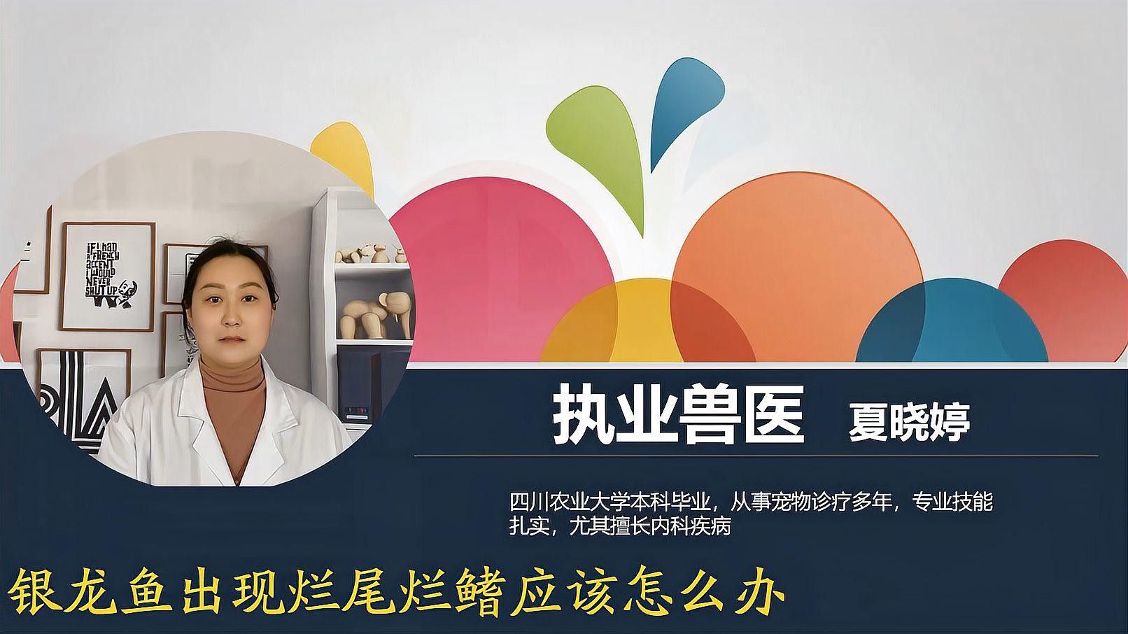 銀龍魚爛鰭怎么回事啊視頻講解