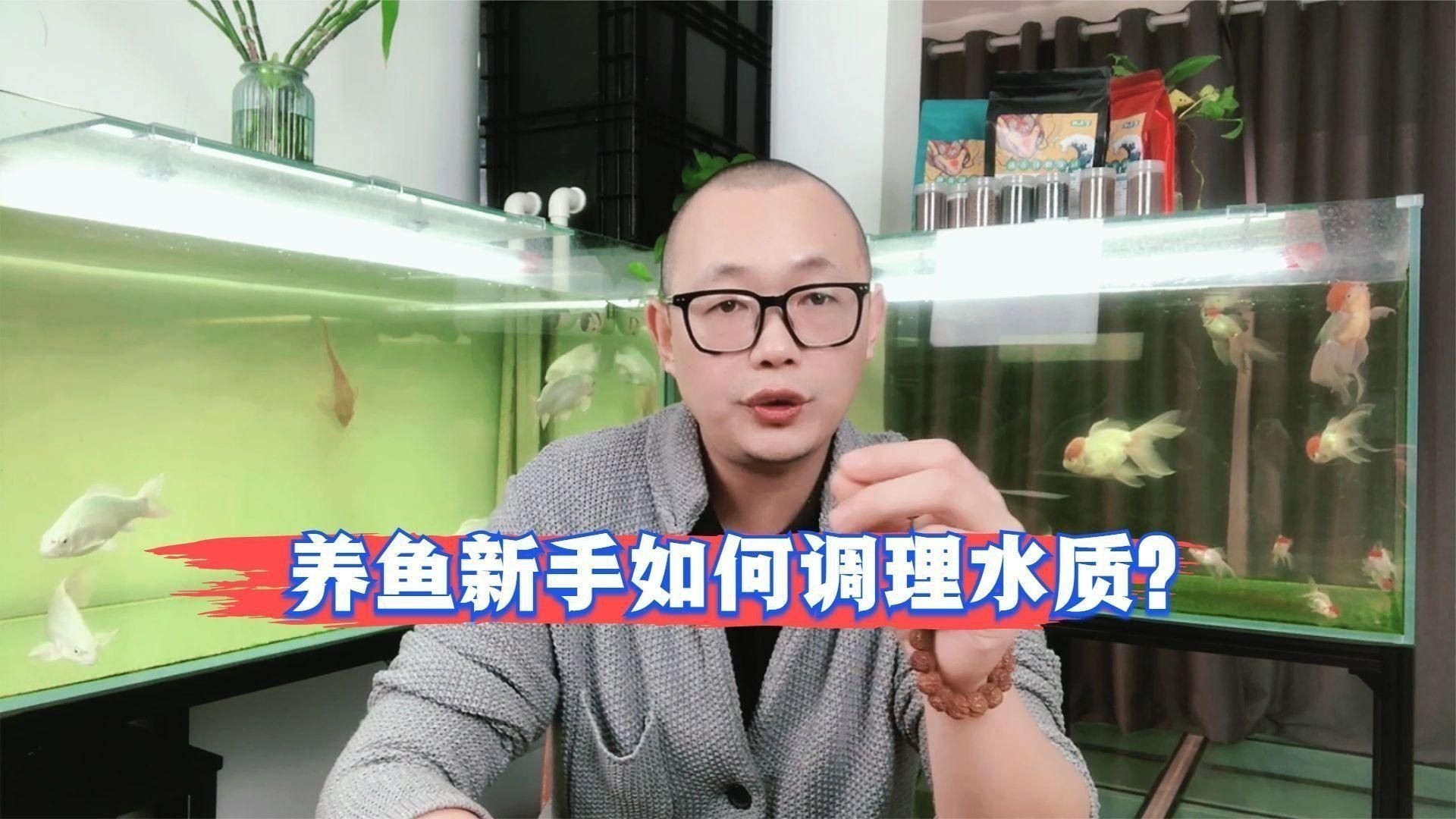 如何科學管理魚缸水質？