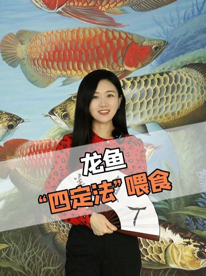 如何用手喂食龍魚？