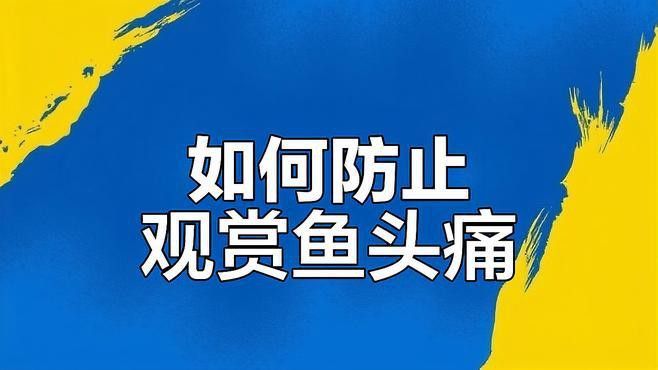 紅龍魚頭洞病會復發嗎？