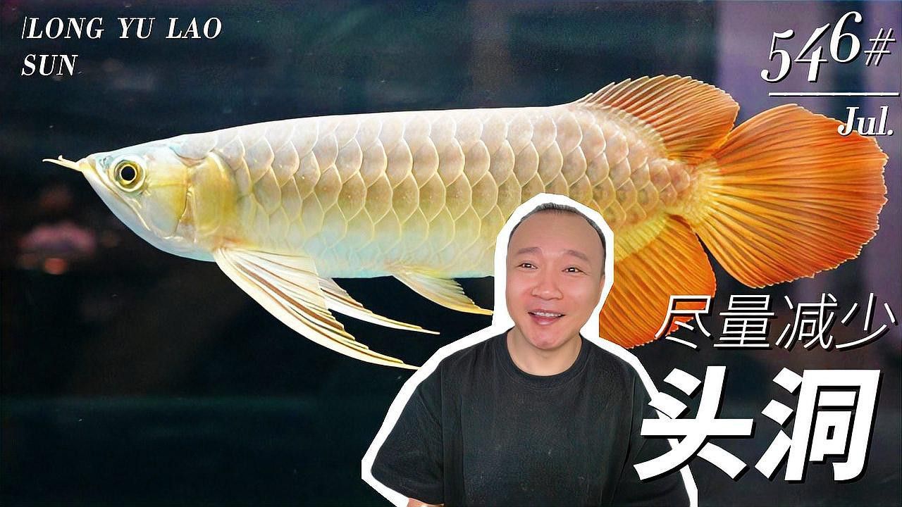 紅龍魚頭洞病會復發嗎？