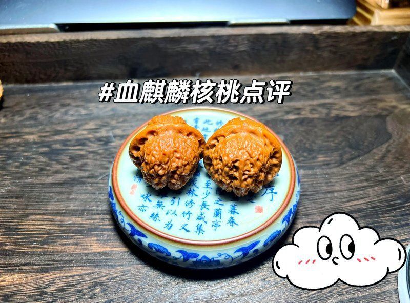 血<strong><mark>麒麟</mark></strong>走色發醬是正規品牌嗎