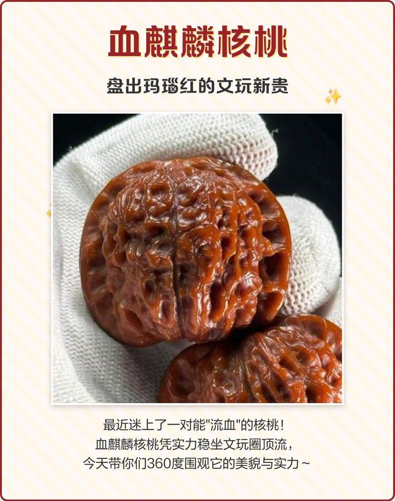 血麒麟走色發(fā)醬是正規(guī)品牌嗎