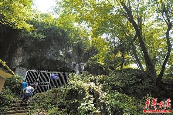 給我一些高清的真龍大地圖片