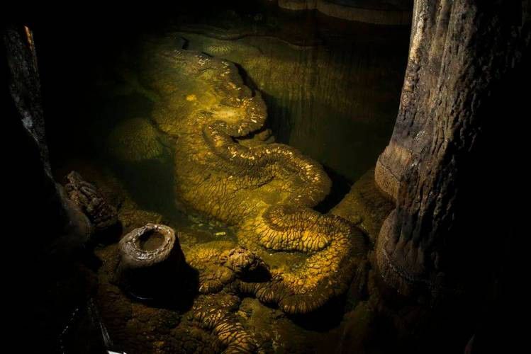 給我一些高清的真龍大地圖片