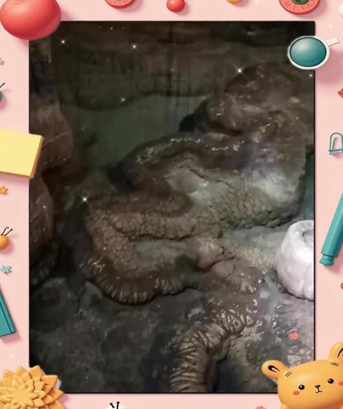 給我一些高清的真龍大地圖片