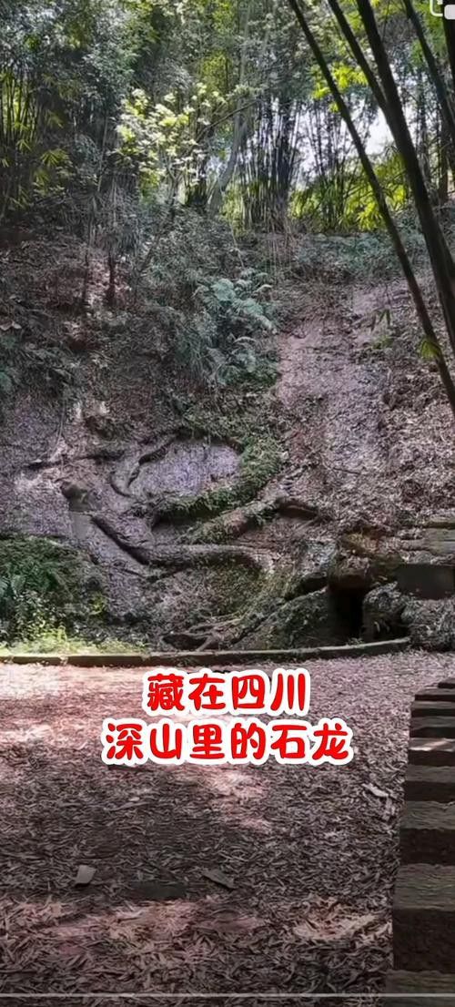 給我一些高清的真龍大地圖片