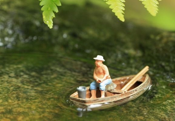 龍魚生態缸：關于龍魚生態缸的詳細介紹