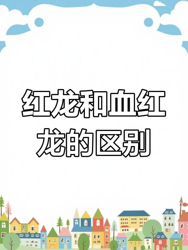 如何區分血紅龍的不同品種？