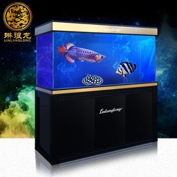 龍魚魚缸品牌排行榜及價格：閩江水族minjiang魚缸售后服務jebo魚缸設計亮點