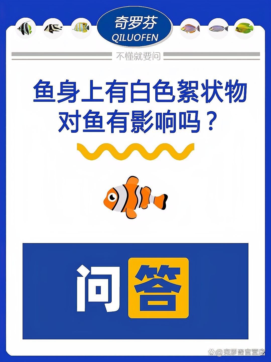 龍魚鰓蓋白色絮狀物多久會傳染其他魚