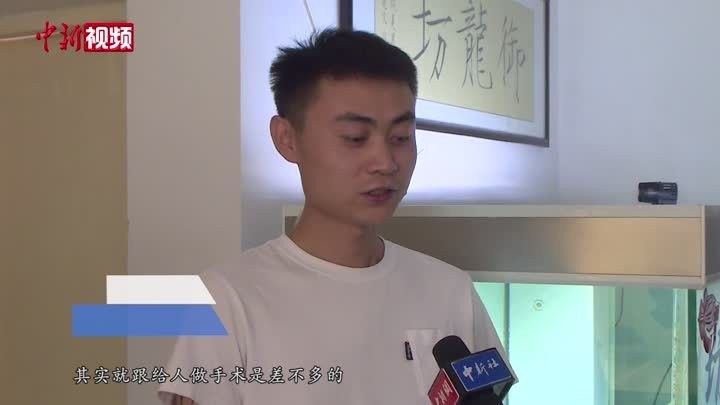 長春龍魚手術(shù)