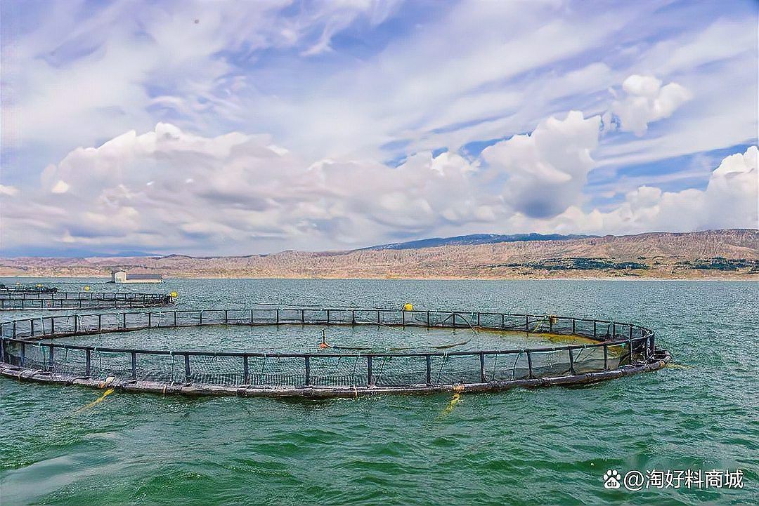 這些養(yǎng)殖場(chǎng)哪個(gè)規(guī)模最大？