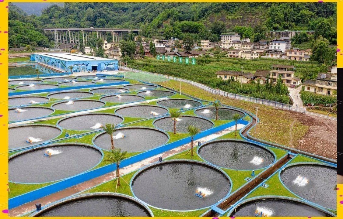 這些養(yǎng)殖場(chǎng)哪個(gè)規(guī)模最大？