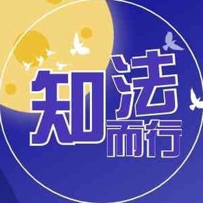 金禾金龍魚是雜牌子嗎值得買嗎