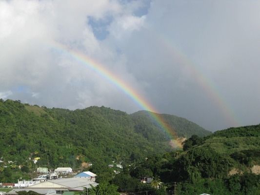 七星雷龍魚好養(yǎng)嗎（“七星雷龍魚好養(yǎng)嗎”雷龍魚飼養(yǎng)缸布置技巧推薦）