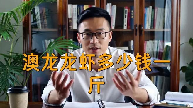 澳龍的價(jià)格是多少？