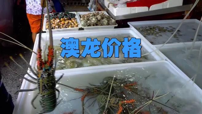 澳龍的價(jià)格是多少？