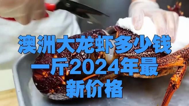 澳龍的價(jià)格是多少？