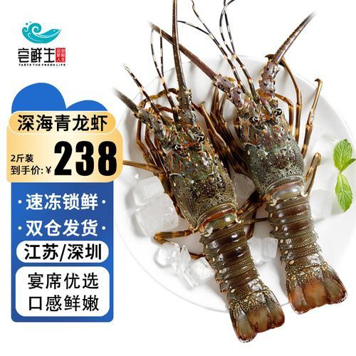澳龍的價(jià)格是多少？