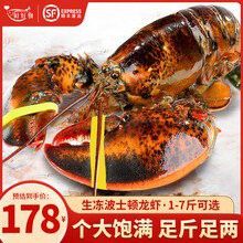澳龍的價(jià)格是多少？