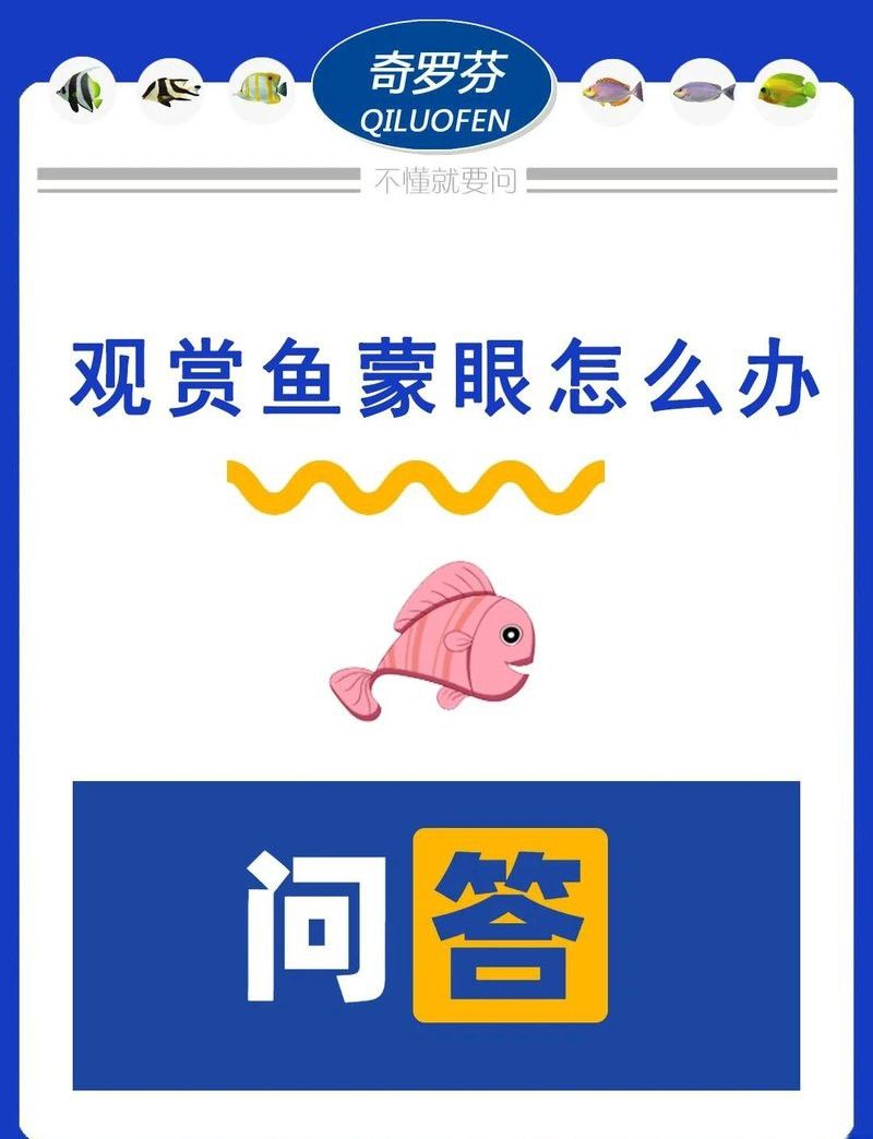 如何判斷雷龍魚蒙眼是外蒙還是內蒙？ 如何判斷雷龍魚蒙眼是外蒙還是內蒙？ 龍魚百科 第15張