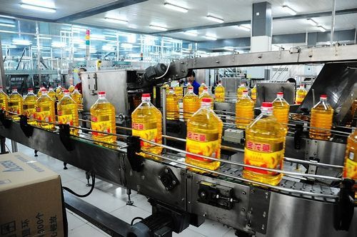 金龍魚上海核心基地有哪些主要產品？