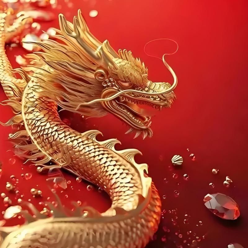 賽級古典過背金龍正確讀法